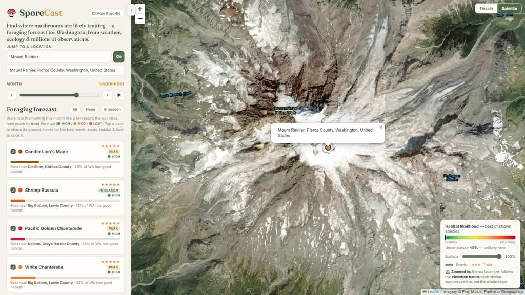 SporeCast satellite view of Mount Rainier with the foraging forecast panel